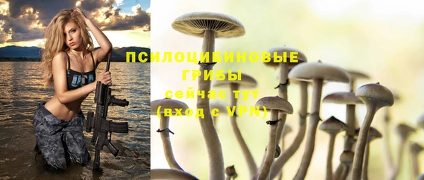бошки Заволжск