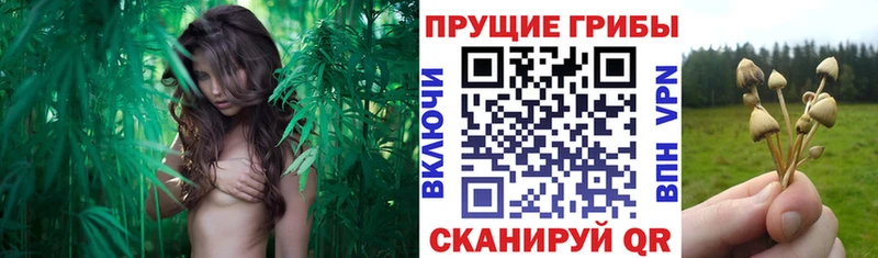 Галлюциногенные грибы ЛСД  Купить  Евпатория 